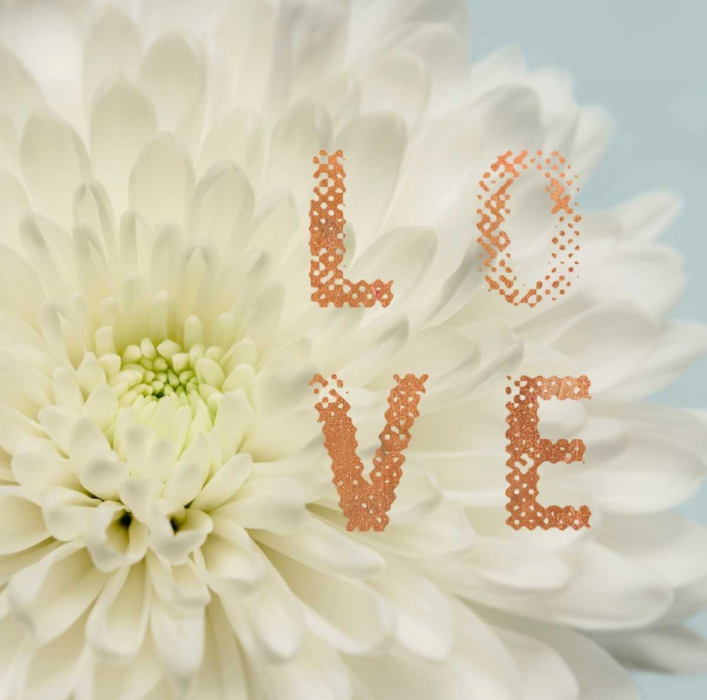Love Flower art print by Julie Greenwood for $57.95 CAD