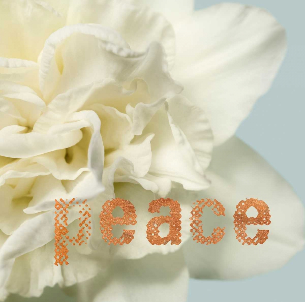 Peace Blossom art print by Julie Greenwood for $57.95 CAD