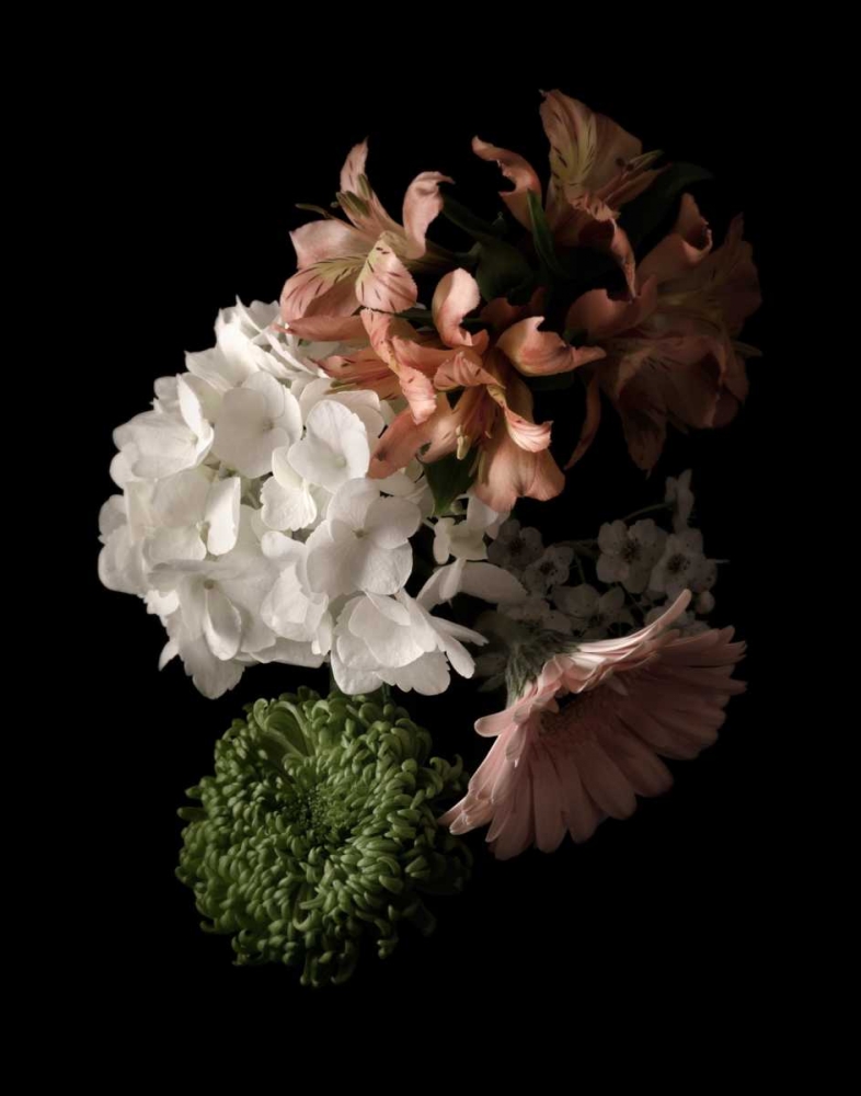 Midnight Hydrangea art print by Julie Greenwood for $57.95 CAD
