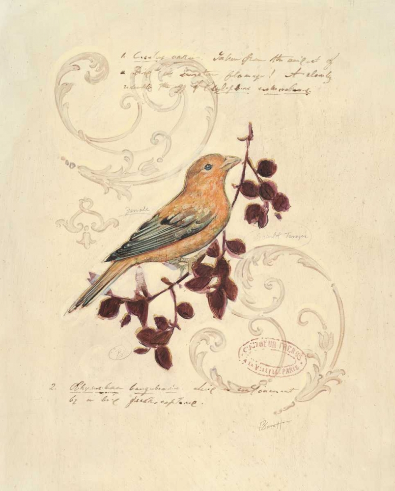 Filigree Songbird art print by Chad Barrett for $57.95 CAD