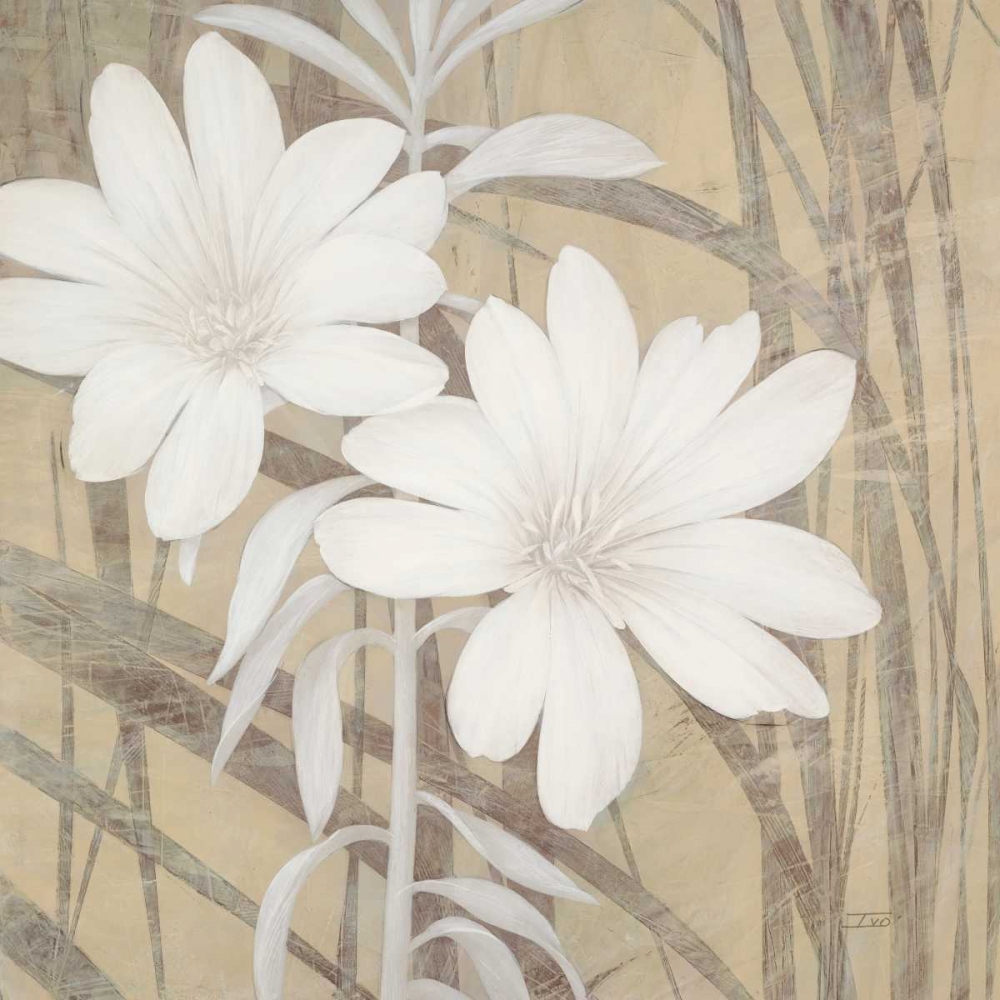Modern White Blossoms art print by Ivo Stoyanov for $57.95 CAD