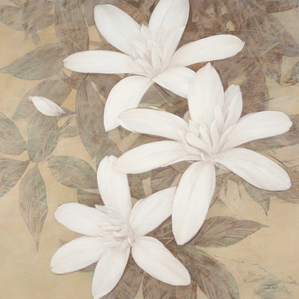 Modern Cream Blossoms art print by Ivo Stoyanov for $57.95 CAD