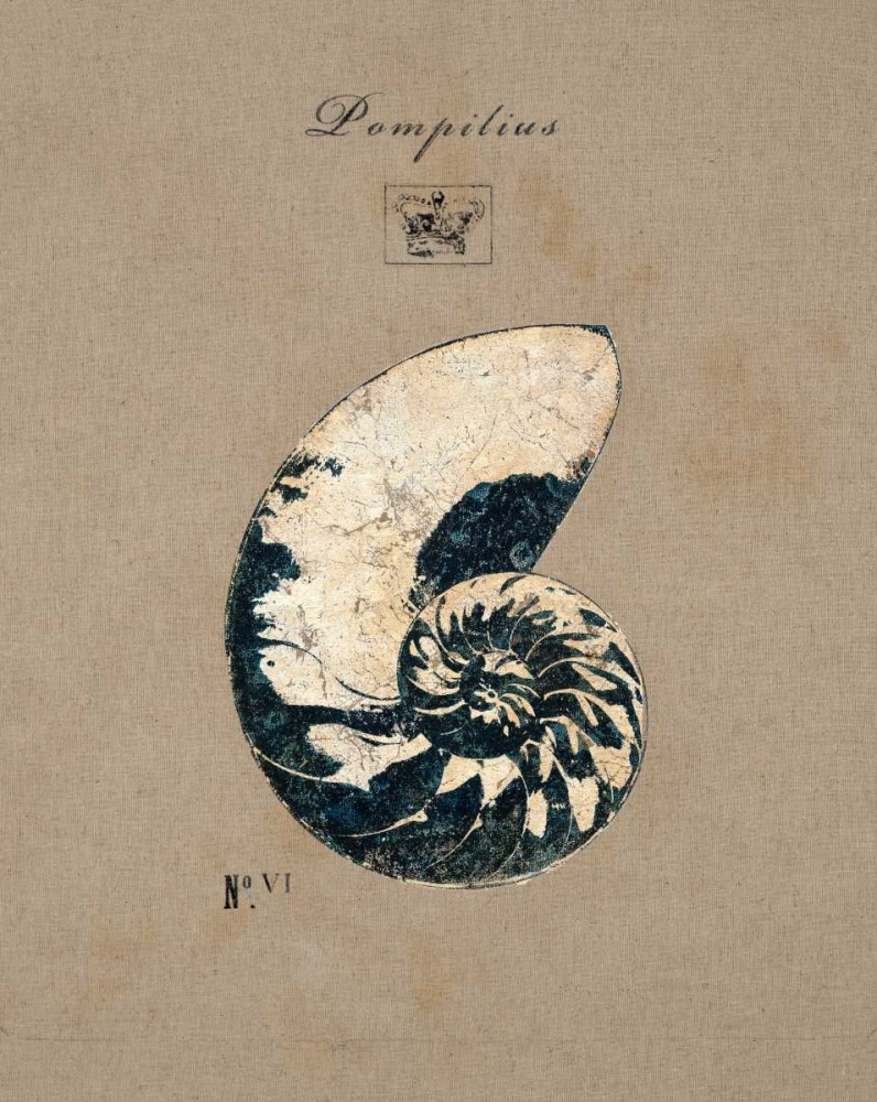 Vintage Linen Nautilus art print by Regina Andrew Design for $57.95 CAD