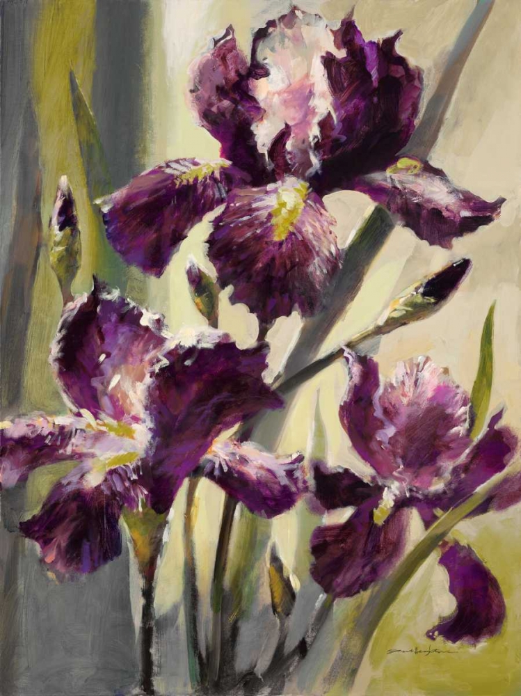 Ambient Iris 3 art print by Brent Heighton for $57.95 CAD