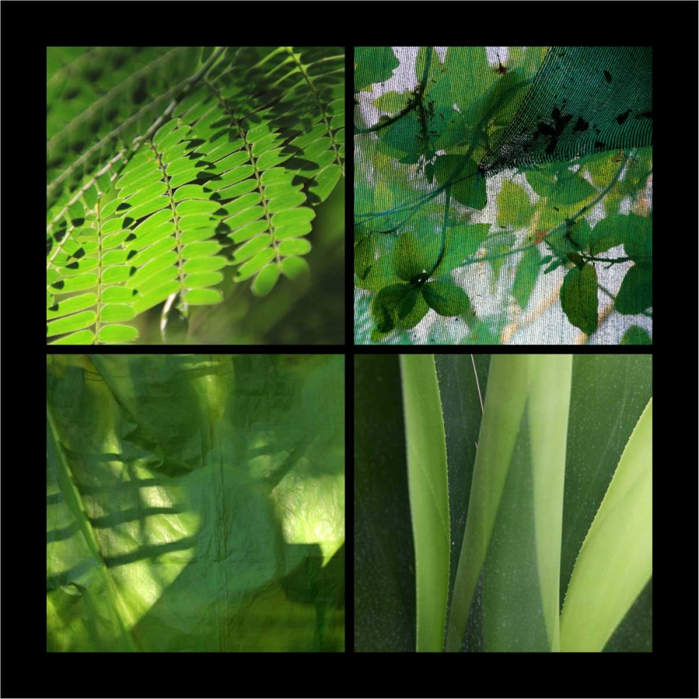 Fresh Green art print by Michel Rauscher for $57.95 CAD