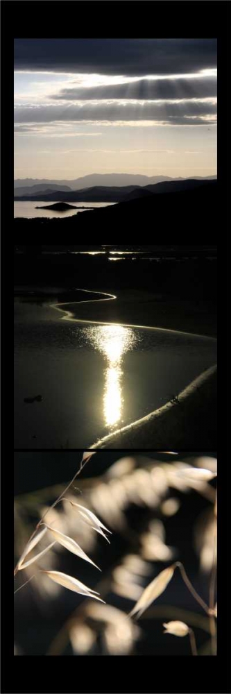 Moon Light Enchantment art print by Michel Rauscher for $57.95 CAD