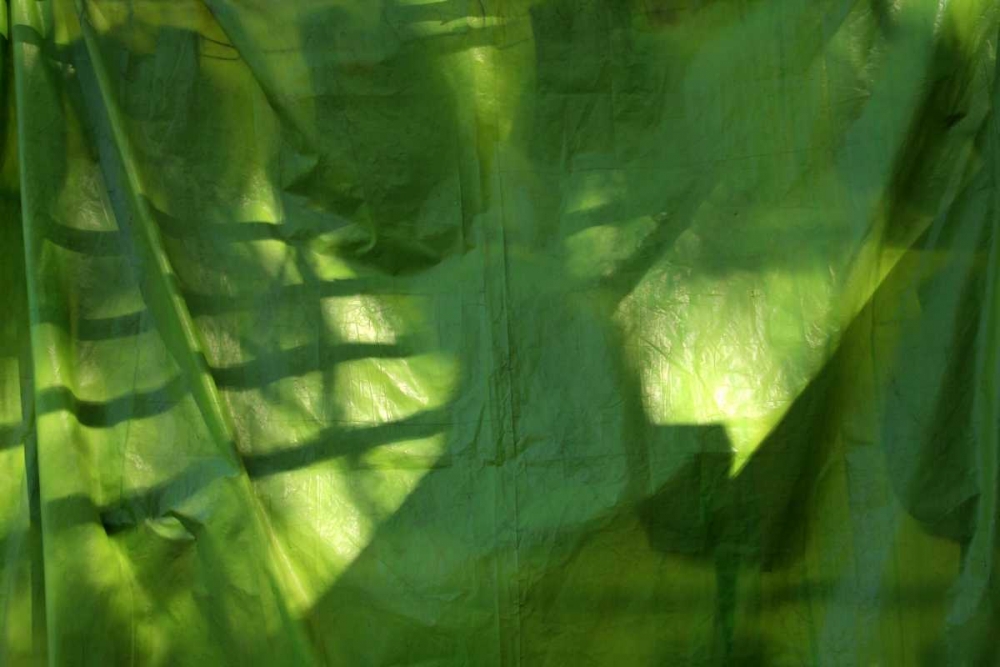 Fresh Green 3 art print by Michel Rauscher for $57.95 CAD