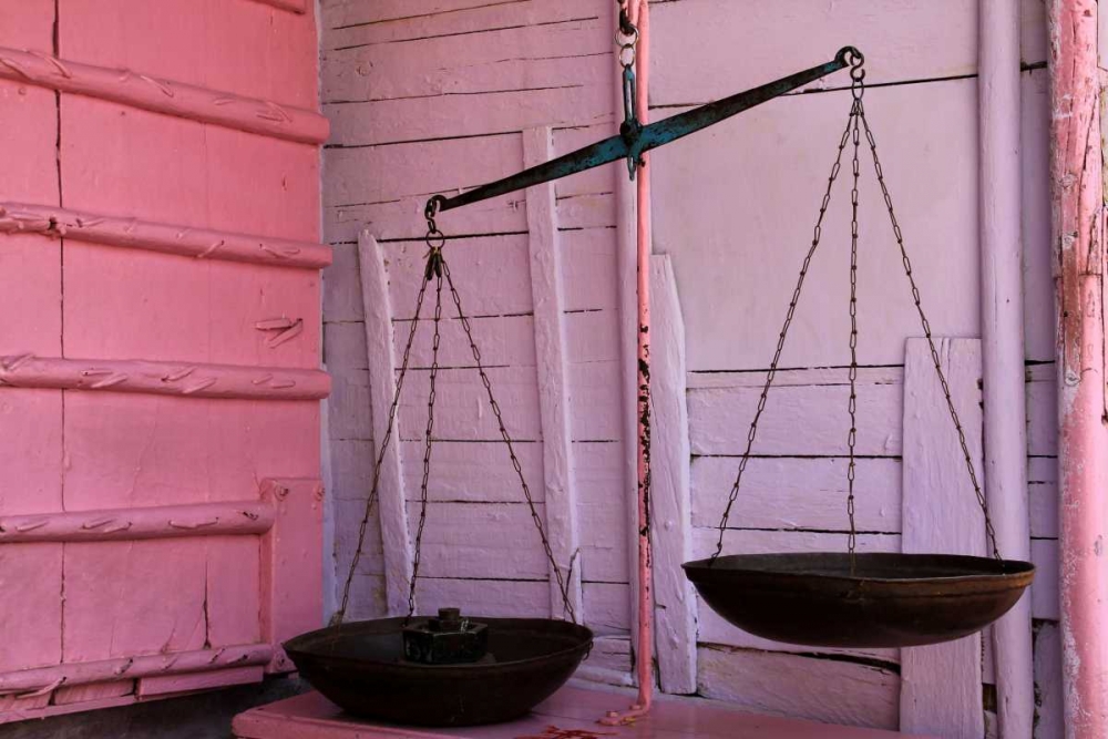 Scales in Pink art print by Michel Rauscher for $57.95 CAD