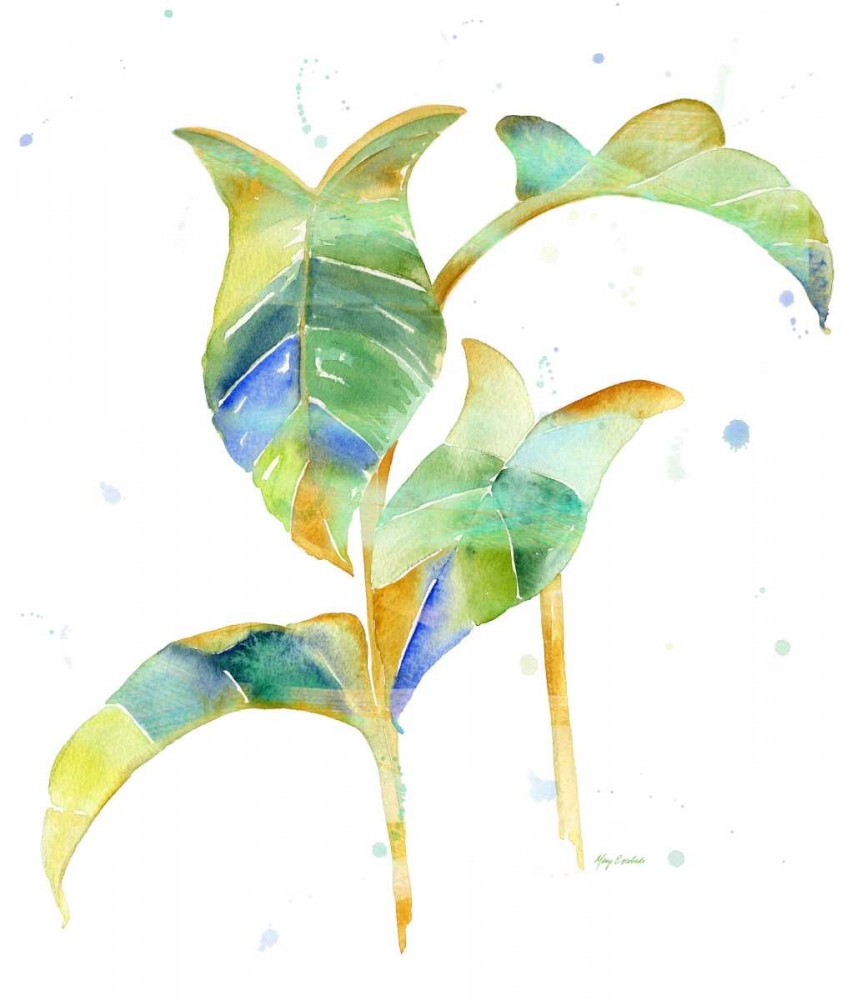 Watercolour Tropical 4 art print by Mary Escobedo for $57.95 CAD