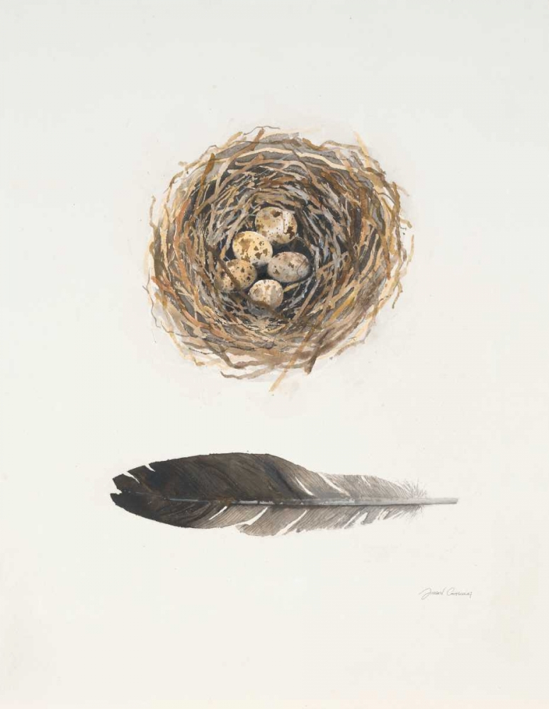 Field Study Nest art print by Jurgen Gottschlag for $57.95 CAD