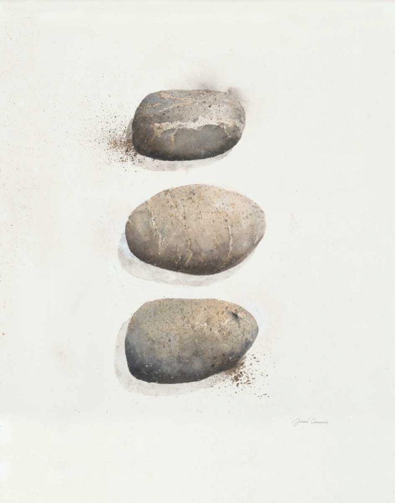 Field Study Stone art print by Jurgen Gottschlag for $57.95 CAD