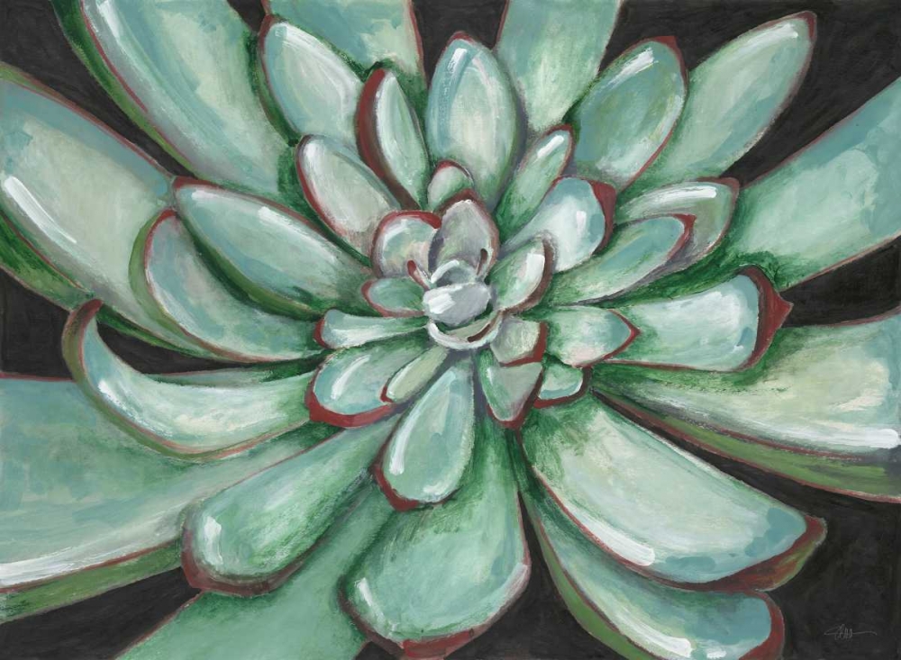Desert Succulent art print by Filippo Ioco for $57.95 CAD
