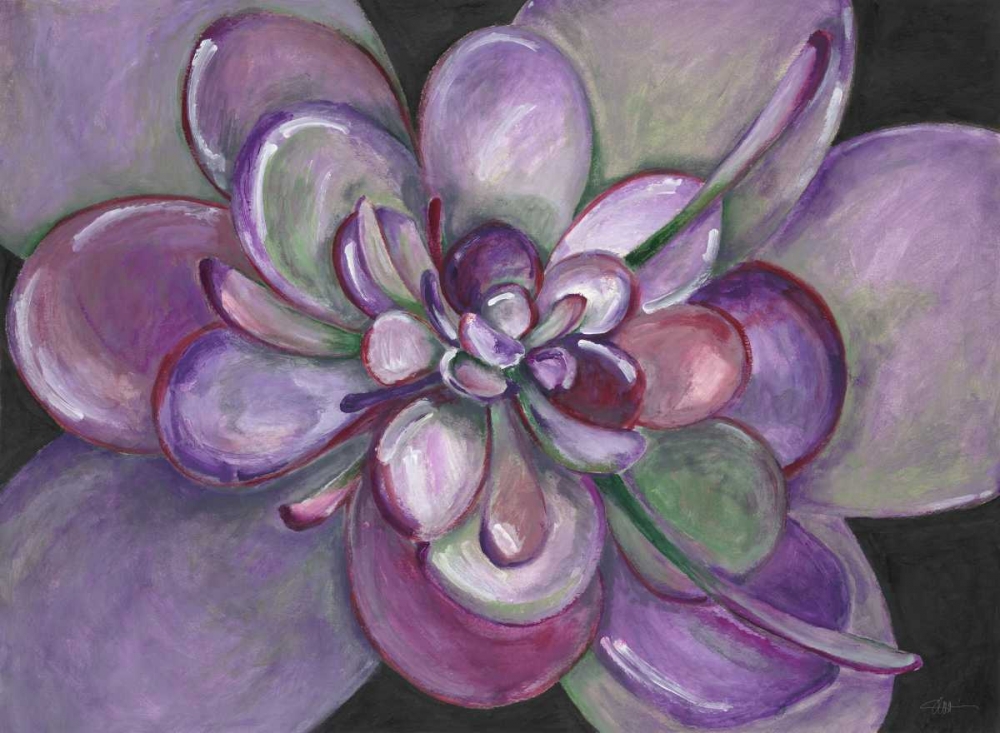 Plum Succulent art print by Filippo Ioco for $57.95 CAD