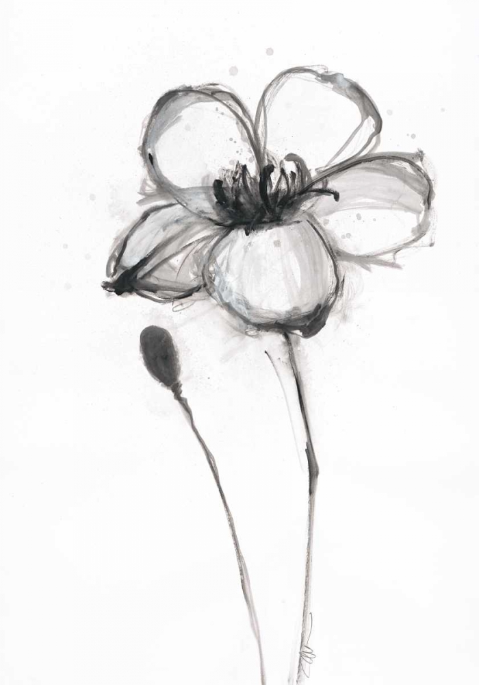 Snow Blossom 3 art print by Filippo Ioco for $57.95 CAD