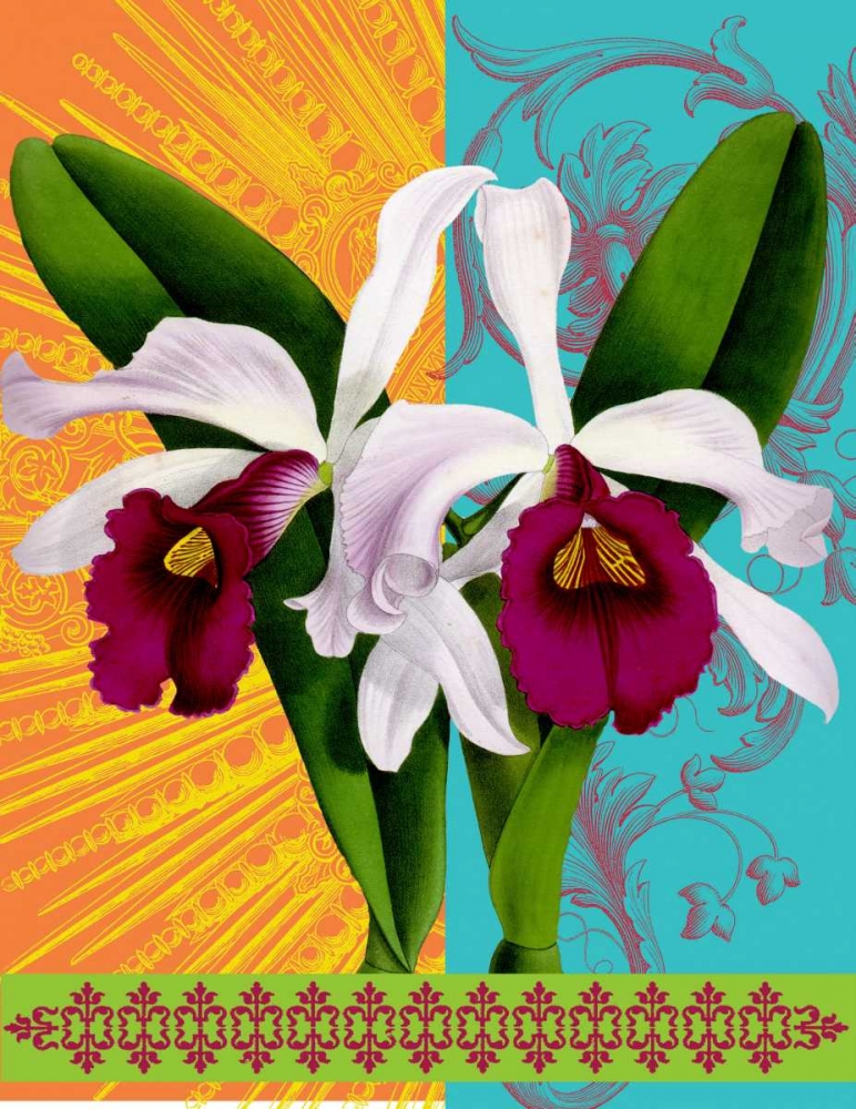 Star Burst Orchid art print by Walter Robertson for $57.95 CAD