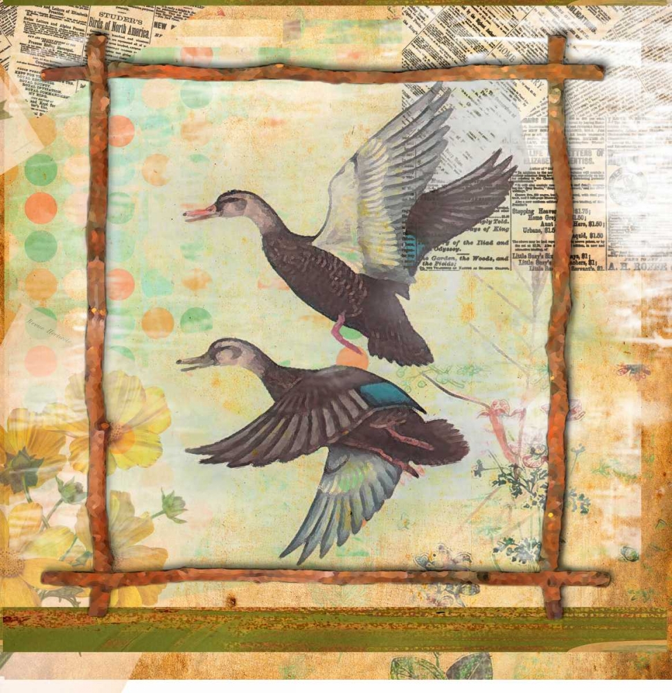 Duck Nature art print by Walter Robertson for $57.95 CAD