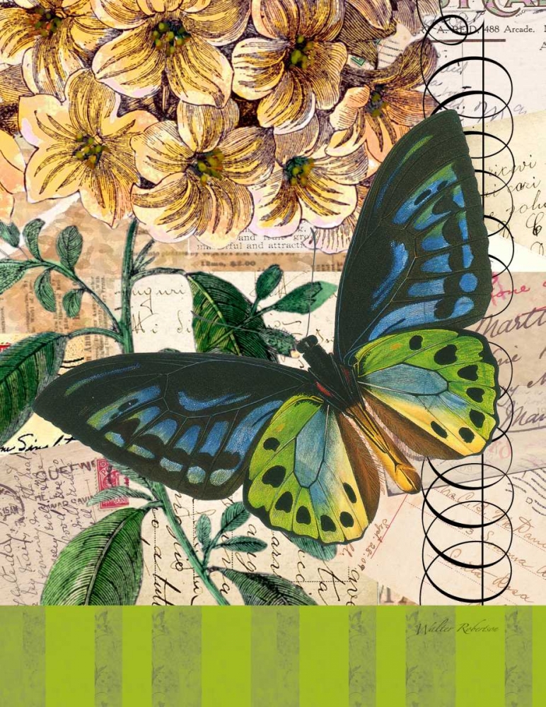 Bountiful Butterfly 2 art print by Walter Robertson for $57.95 CAD