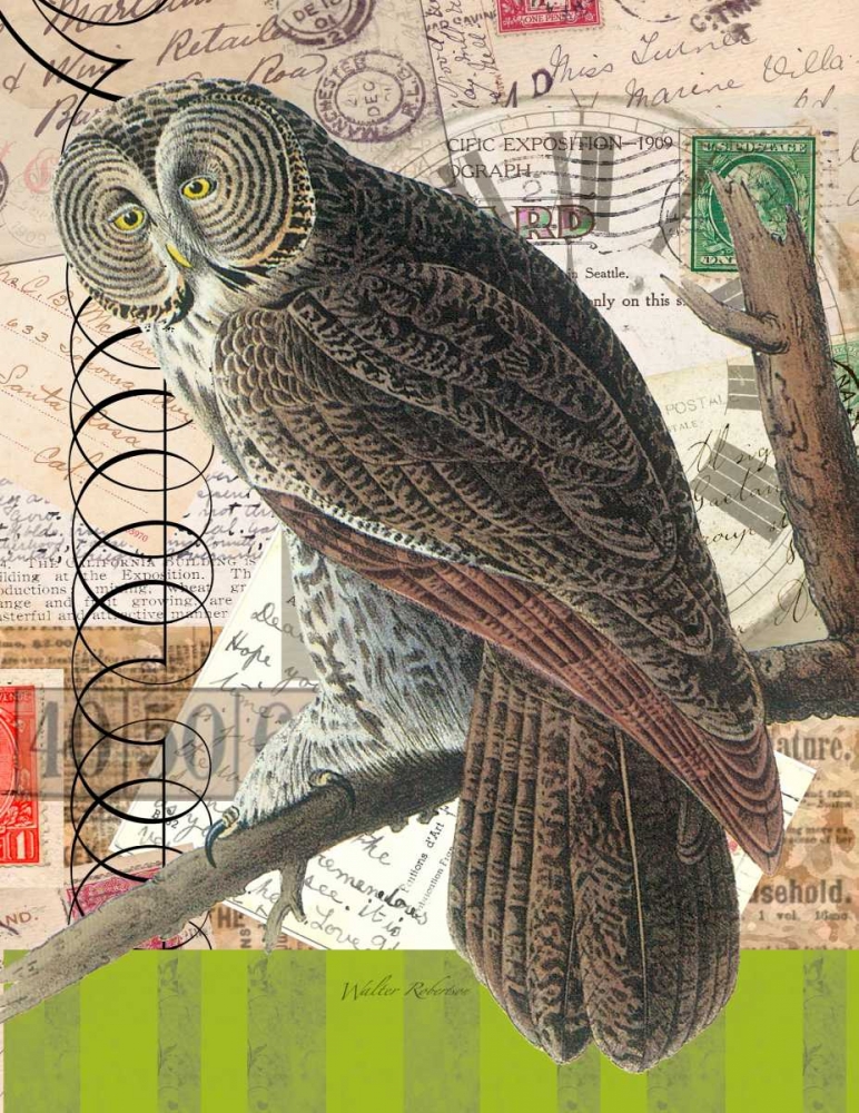 Curious Owl 1 art print by Walter Robertson for $57.95 CAD