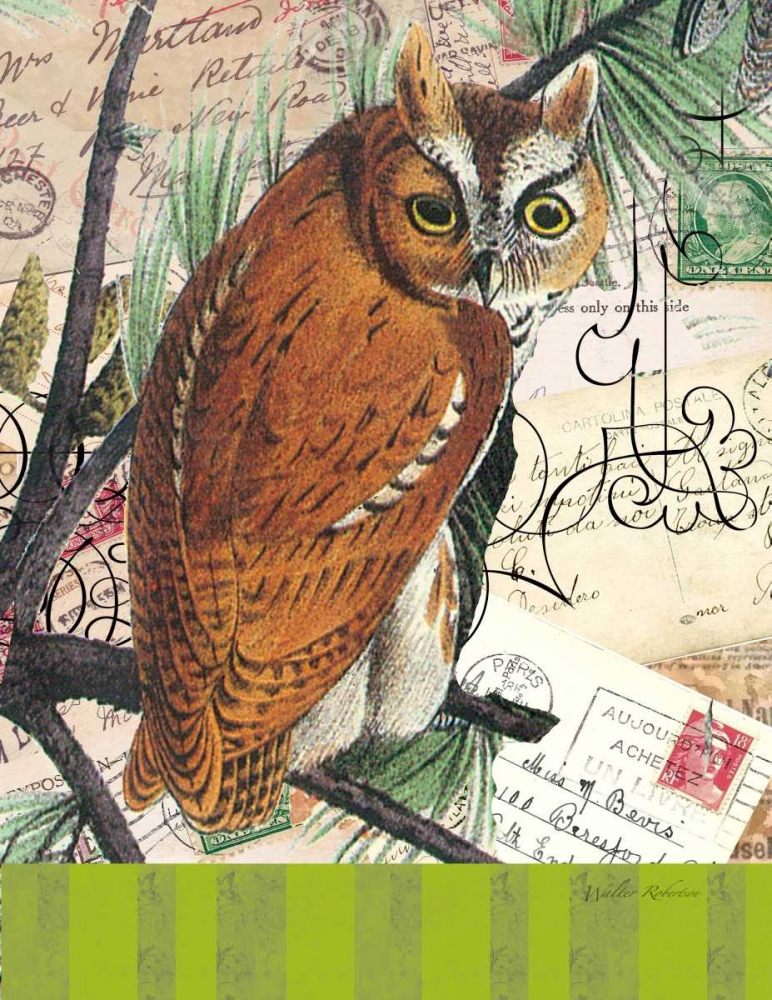 Curious Owl 2 art print by Walter Robertson for $57.95 CAD