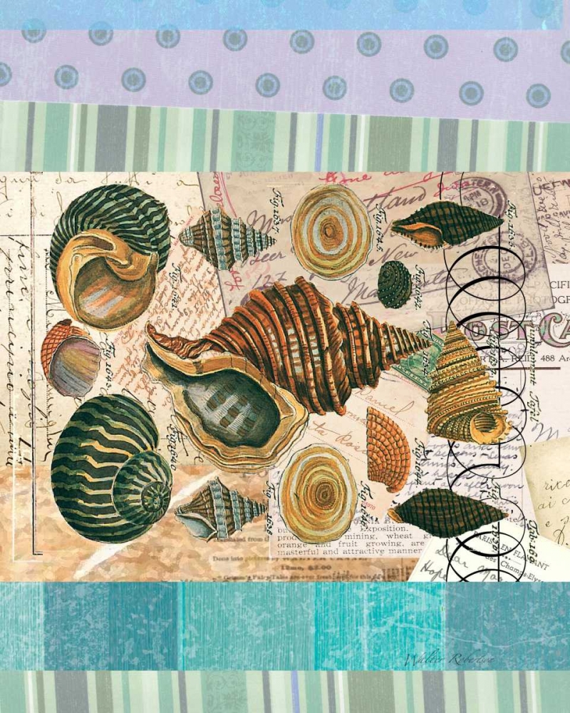Nautilus Elements art print by Walter Robertson for $57.95 CAD