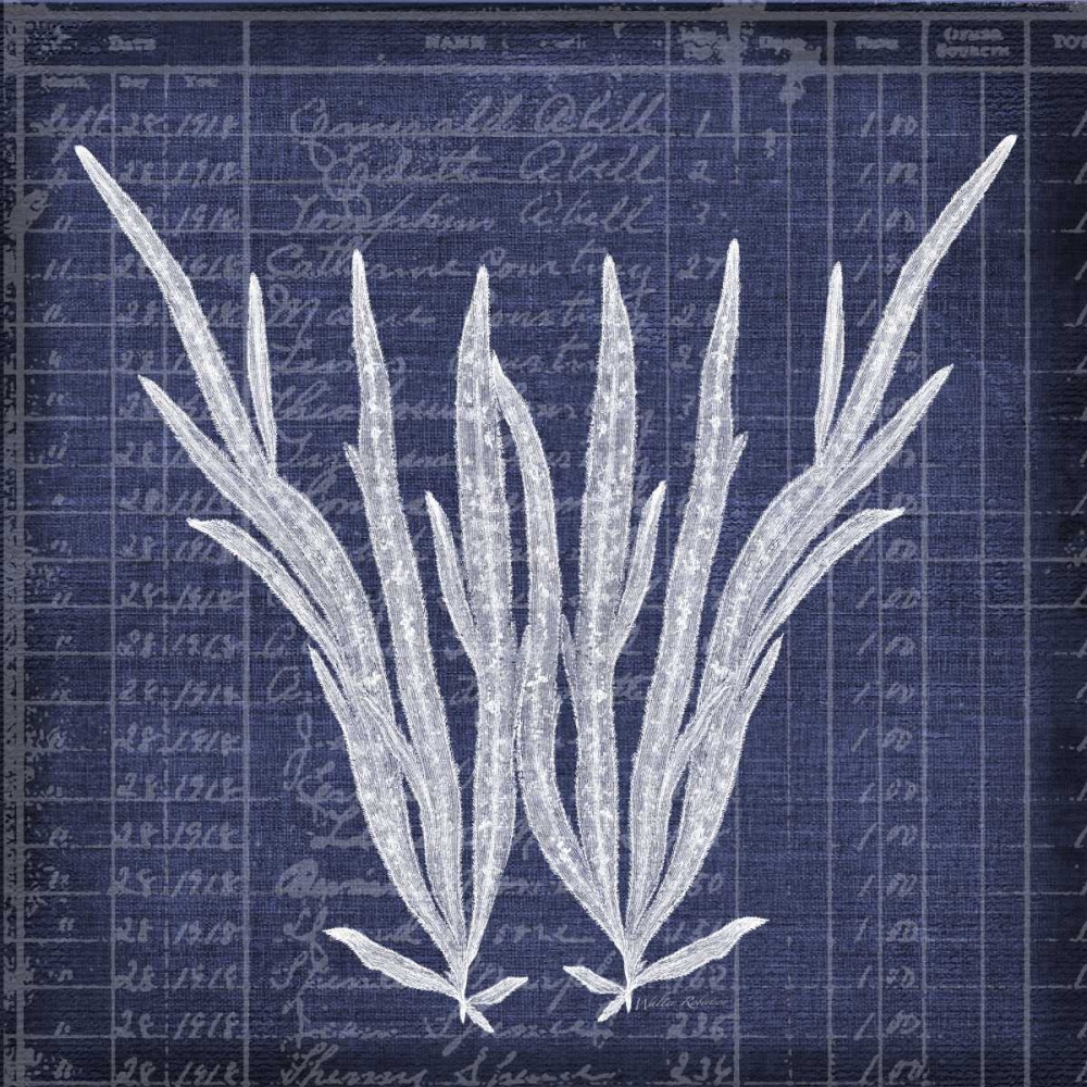 Seaweed Document 1 art print by Walter Robertson for $57.95 CAD