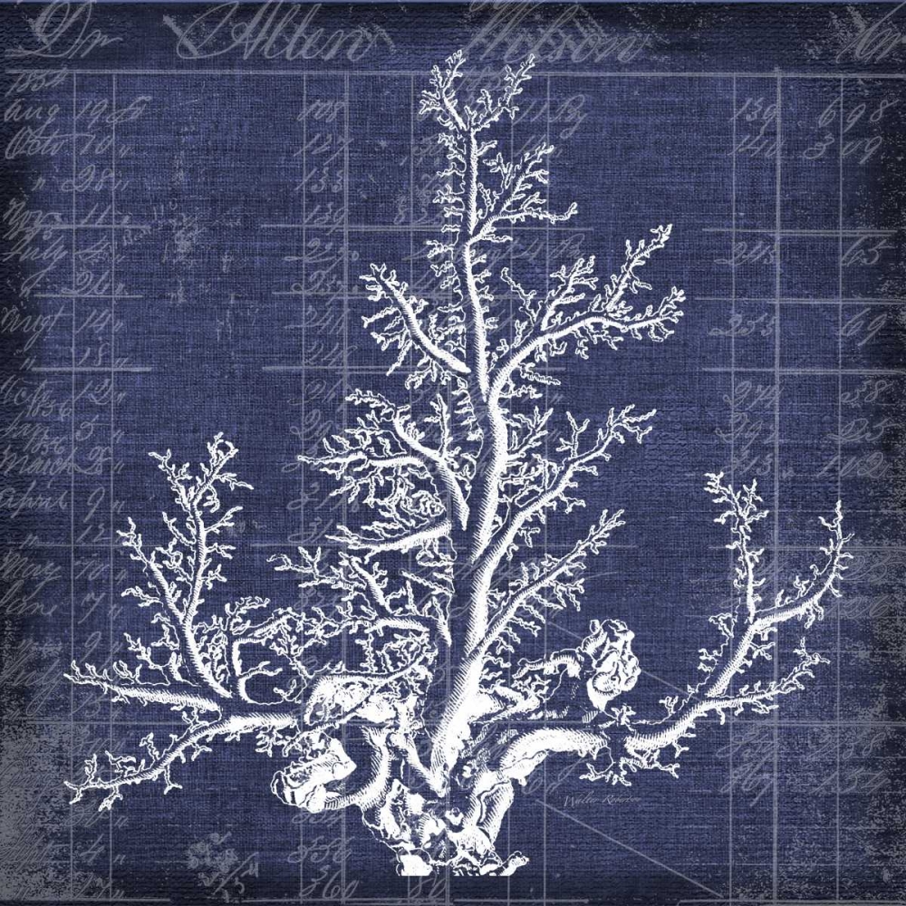 Seaweed Document 2 art print by Walter Robertson for $57.95 CAD
