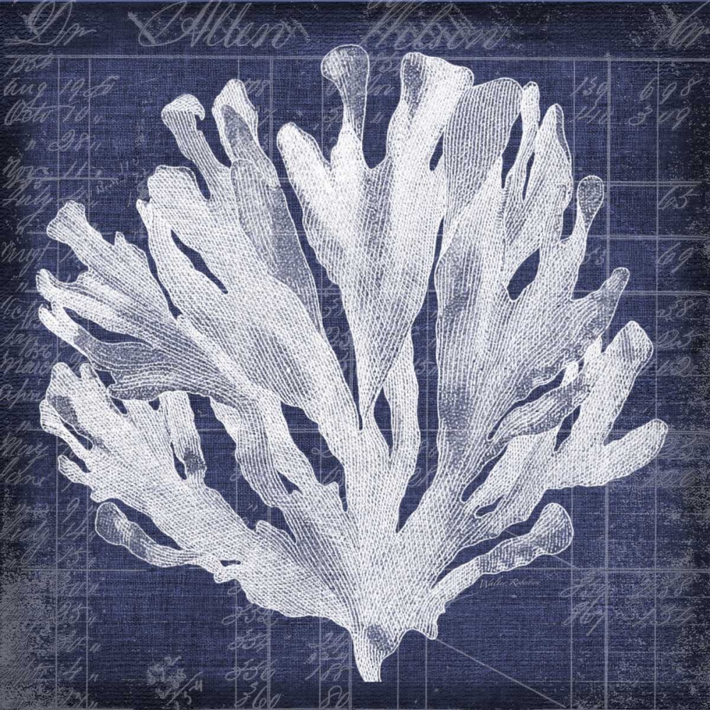 Seaweed Document 3 art print by Walter Robertson for $57.95 CAD