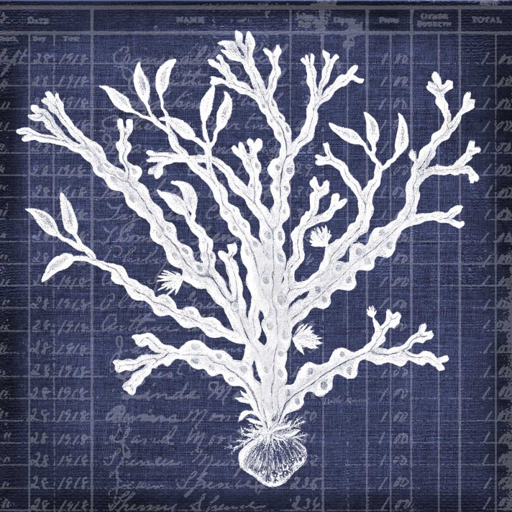 Seaweed Document 4 art print by Walter Robertson for $57.95 CAD