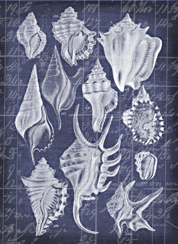 Shell Life 1 art print by Walter Robertson for $57.95 CAD