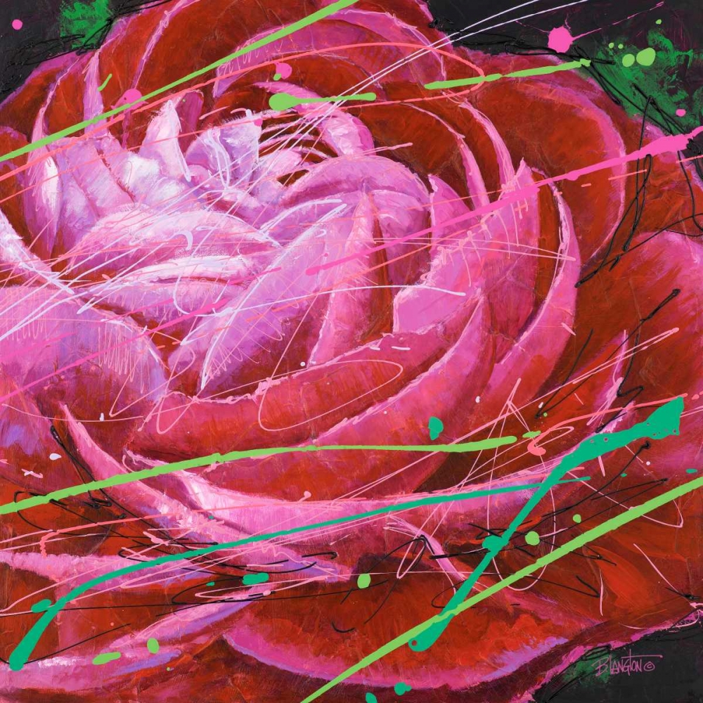 Ranunculus in Motion art print by Bruce Langton for $57.95 CAD
