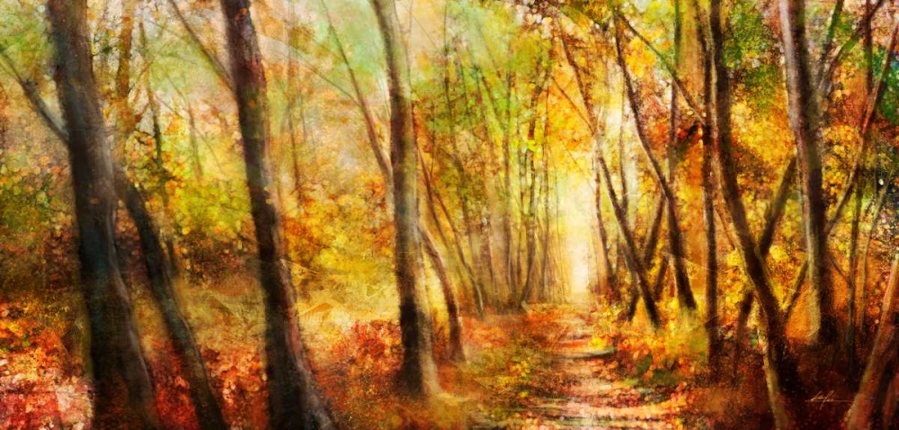 Forest Pathway art print by Ken Roko for $57.95 CAD