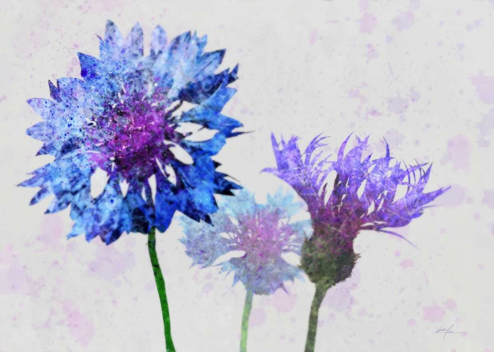 Colorful Cornflowers 1 art print by Ken Roko for $57.95 CAD