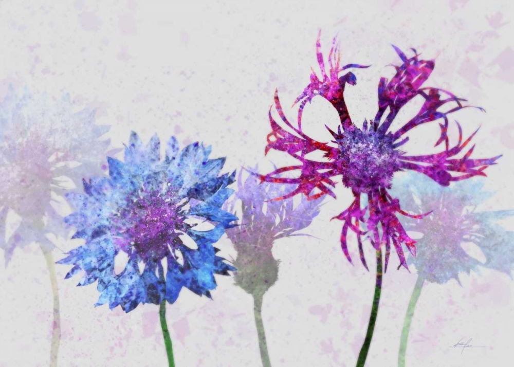 Colorful Cornflowers 2 art print by Ken Roko for $57.95 CAD
