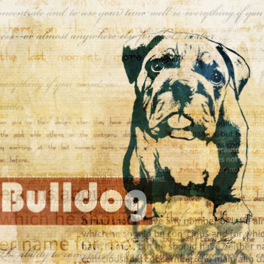 Bulldog Sketch art print by Ken Roko for $57.95 CAD