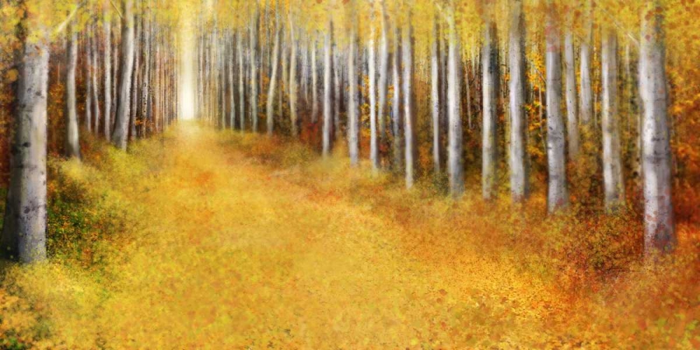 Yellow Path 2 art print by Ken Roko for $57.95 CAD