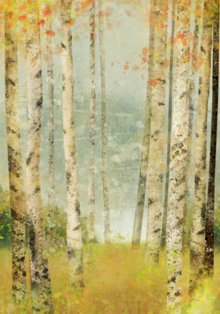 Yellow Birch 1 art print by Ken Roko for $57.95 CAD