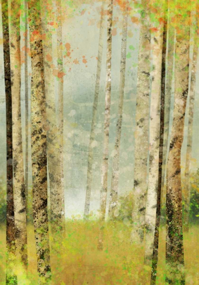 Yellow Birch 2 art print by Ken Roko for $57.95 CAD