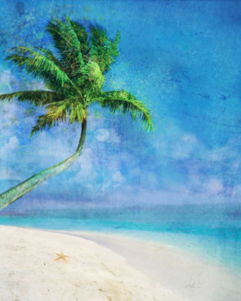 Palm Beach and Starfish art print by Ken Roko for $57.95 CAD