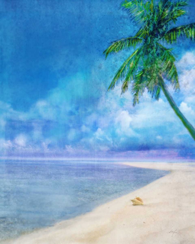 Palm Beach and Shell art print by Ken Roko for $57.95 CAD