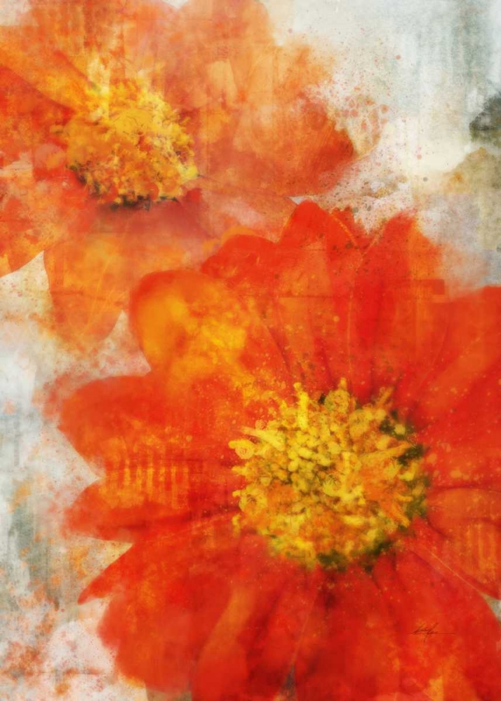 Tithonia Bloom 1 art print by Ken Roko for $57.95 CAD