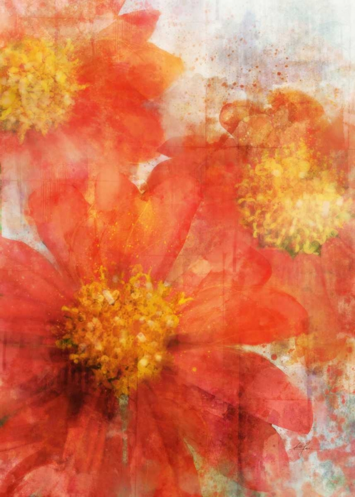 Tithonia Bloom 2 art print by Ken Roko for $57.95 CAD