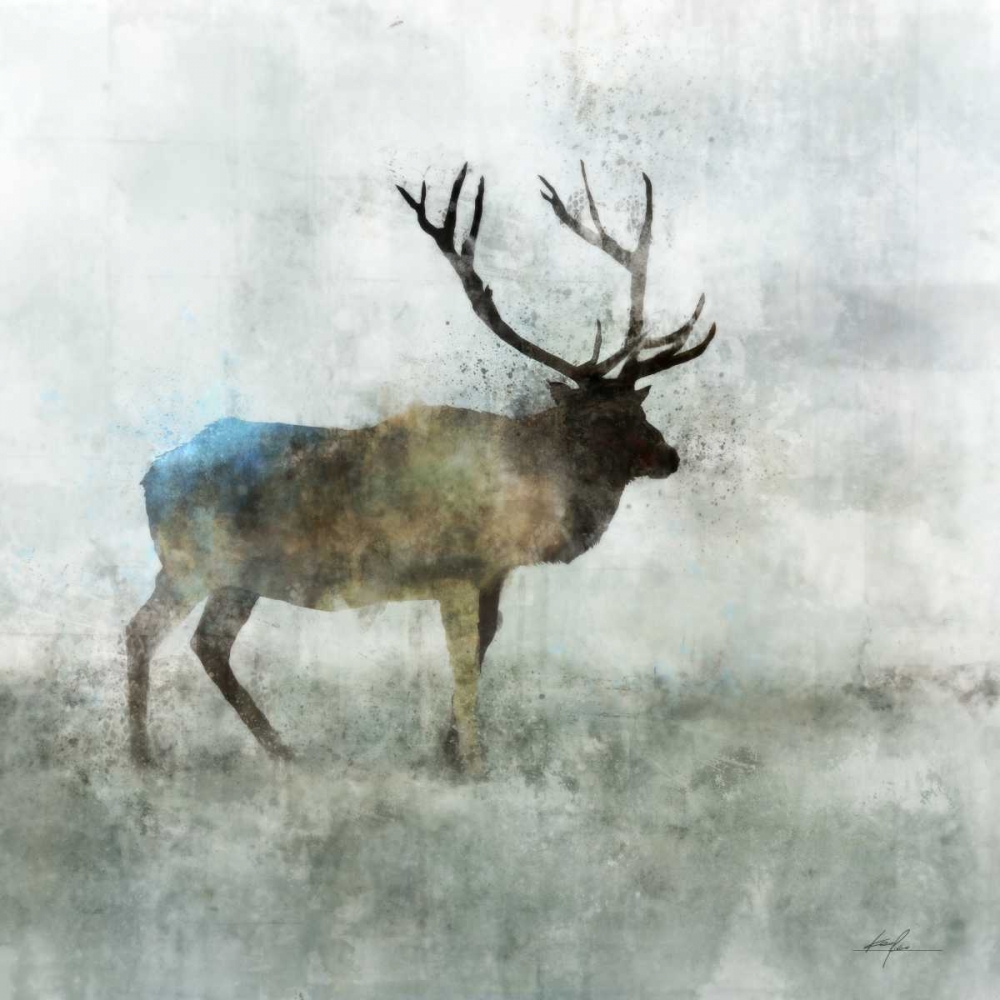 Solo Stag art print by Ken Roko for $57.95 CAD