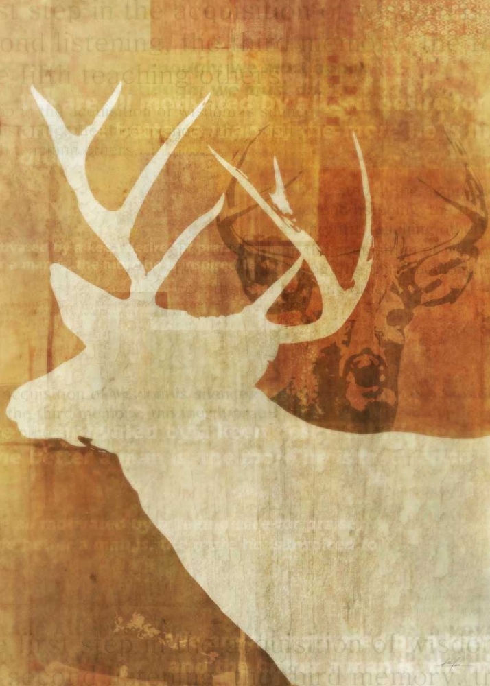 Whitetail Deer art print by Ken Roko for $57.95 CAD