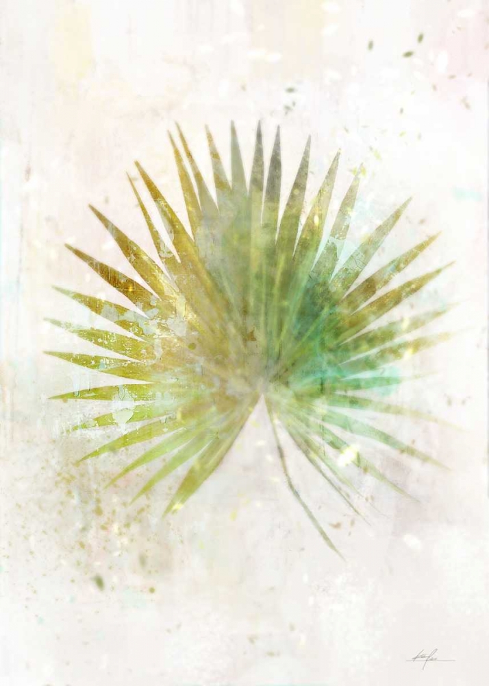 Textured Fan Palm art print by Ken Roko for $57.95 CAD