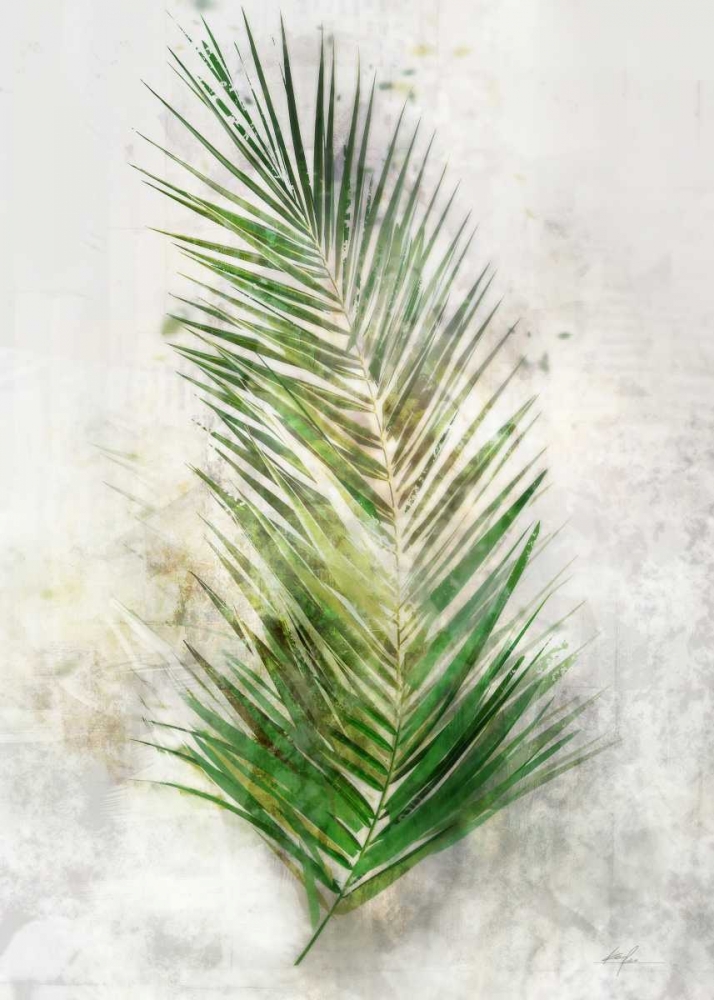 Textured Areca Palm art print by Ken Roko for $57.95 CAD