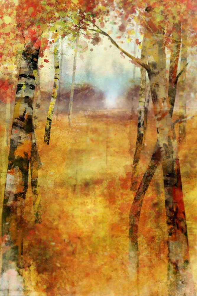 Splashes of Autumn art print by Ken Roko for $57.95 CAD