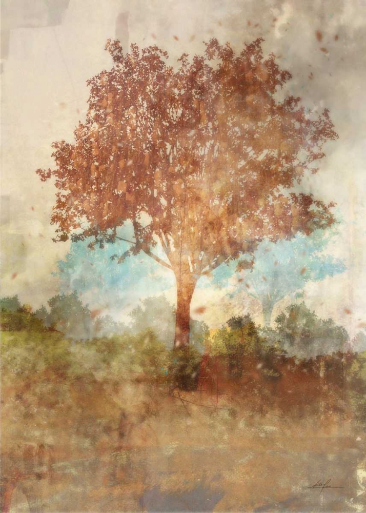 Sun Dappled Tree art print by Ken Roko for $57.95 CAD