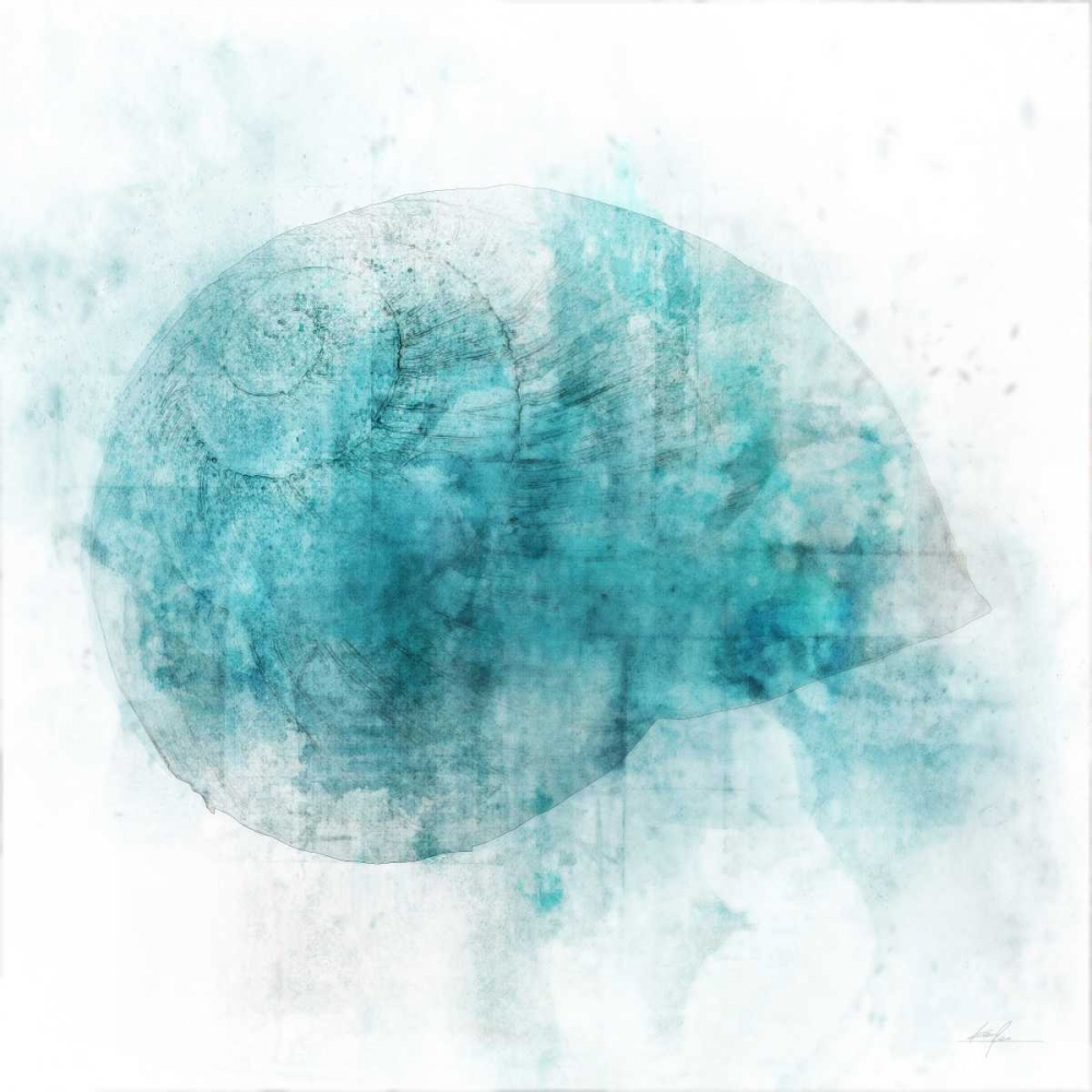 Coastal Mist Shell art print by Ken Roko for $57.95 CAD
