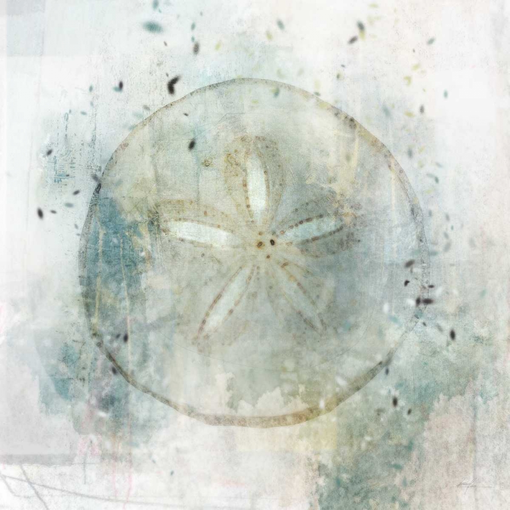 Coastal Mist Sand Dollar art print by Ken Roko for $57.95 CAD