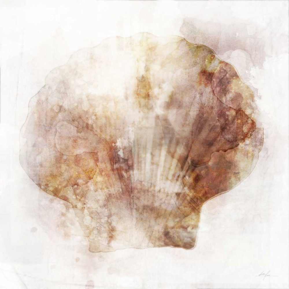Coastal Mist Scallop art print by Ken Roko for $57.95 CAD
